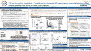 TCR and HLA analysis of patients in a Phase I/Iia trial of a therapeutic CMV vaccine against recurrent glioblastoma (rGBM)