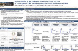 Interim results of the extension phase of a Phase I/IIa trial of a therapeutic CMV vaccine against recurrent glioblastoma (GBM)