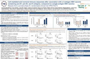 Cell-mediated and humoral immune responses after vaccination with a 3-antigen HBV vaccine containing pre-S1, pre-S2, and S antigens, compared to a single-antigen HBV vaccine: Results from a pivotal phase III, randomized clinical trial (PROTECT)